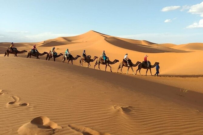 8 Days Trekking in the Moroccan Desert From Marrakech - Trekking Routes and Landscapes