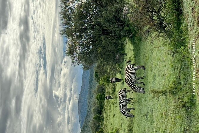 9 Day Mgahinga Gorilla Trek Mara Lake Nakuru & Naivasha Park - Booking Confirmation