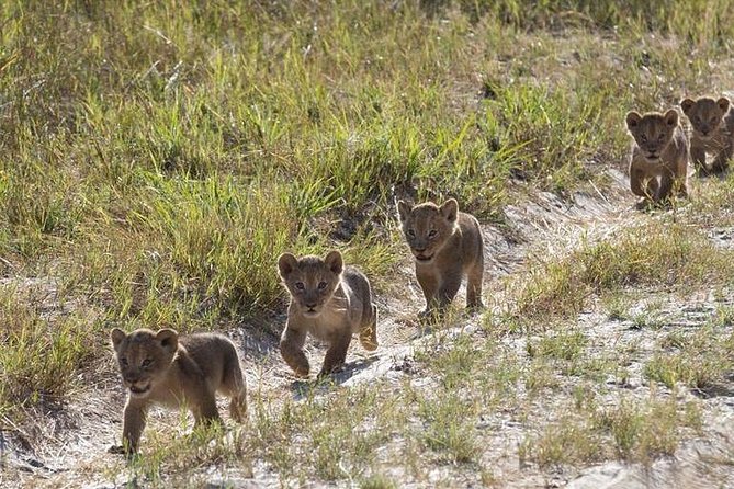 9-Day Uganda Primates - Lions & so Much More (Midrange) - Meal Inclusions