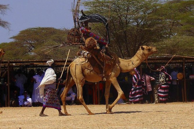 9 Days Best of Kenyan Tented Safari - Guided Tours and Excursions
