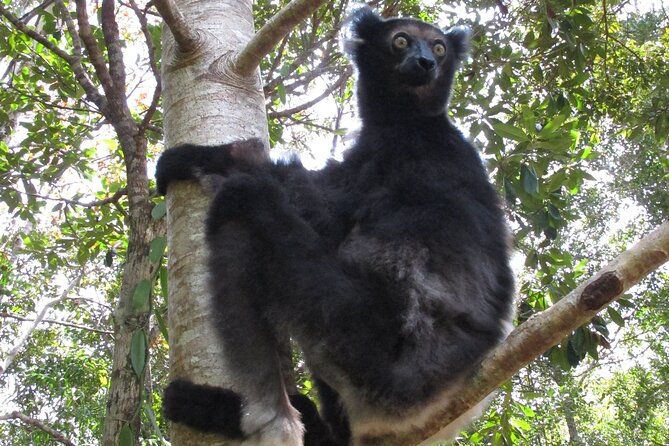 9 Days East of Madagascar Tour - What To Expect