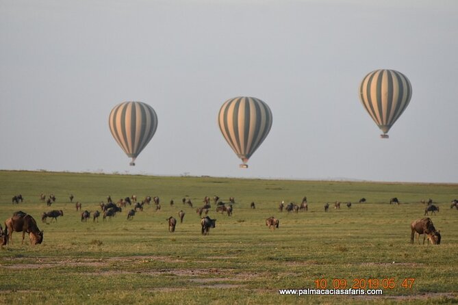 9-Days Safari Choroa Private Tour in Kenya - Dining Options