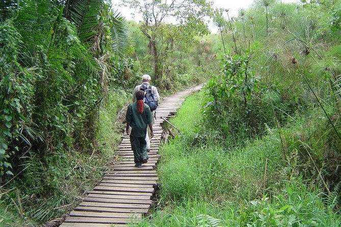 9-Nights Budget Safari: Mountain Gorillas, Primates & Wildlife - Cancellation Policy