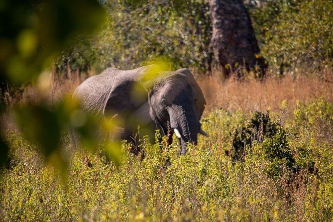 A-7 Days Combo Safari - Booking Information