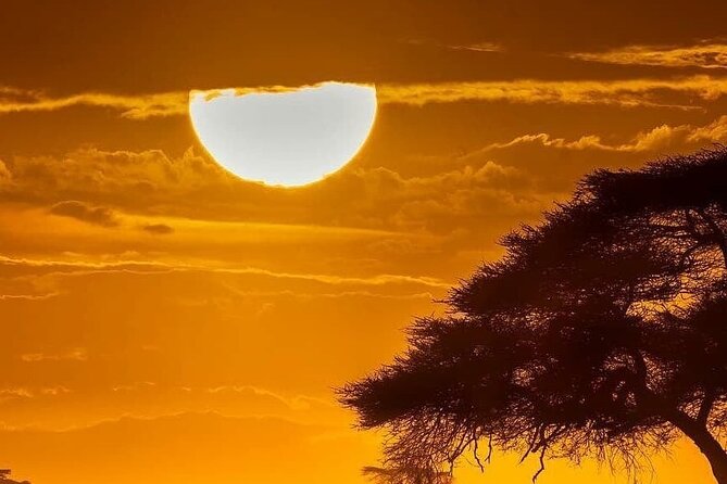 A Day Trip Safari To Lake Manyara National Park - Scenic Views