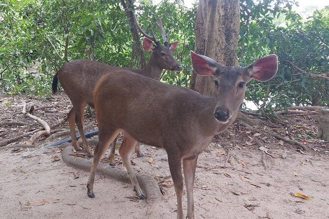 A Day Trip To Phnom Chisor - Tonle Batti From Phnom Penh - Cancellation Policy