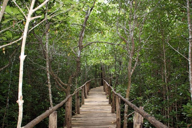A Half Day Private Tour To Jozani Forest - Cancellation Policy and Booking