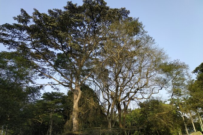 Aburi Gardens Transfers - Hotel Pickup and Drop-off