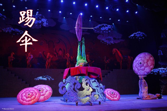 Acrobatics Show With Private Driver Service Include Hotel Pick-Up and Drop-Off - Accessibility and Flexibility
