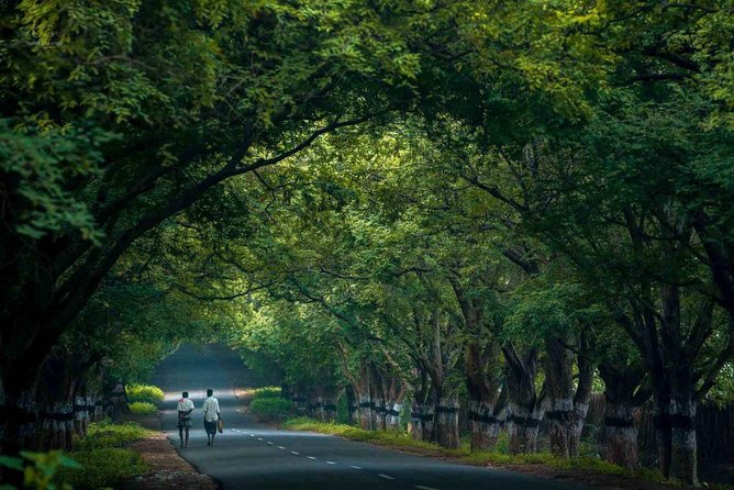 Adventurous Valparai Trip From Kochi - 2 Days Trip - Frequently Asked Questions