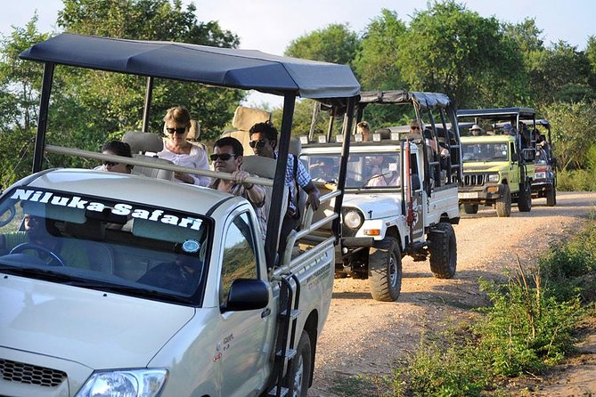 Afternoon Safari at Udawalawe National Park - The Sum Up and Final Tips