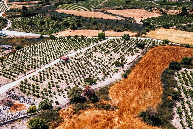 Afternoon Tour to Agios Neophytos Monastery With Wine Tasting - Cancellation Policy