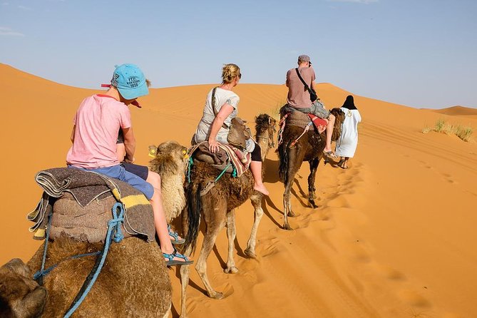 Agadir Camel Riding Sunset Time + Barbecue BBQ 5pm to 9pm - Accessibility Features