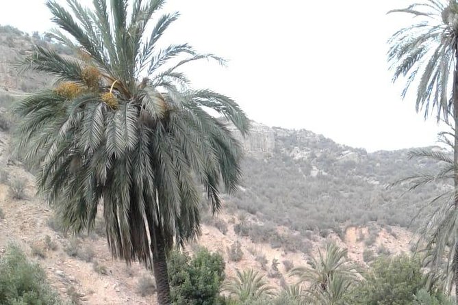 Agadir Day Trip : Paradise Valley + Hike in Mountains With Guide - Booking and Cancellation Policy