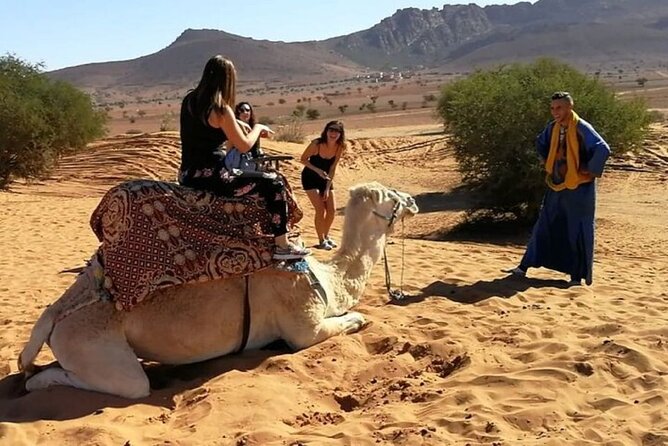 Agadir Desert Safari Day Tour With Lunch - Optional Camel Ride
