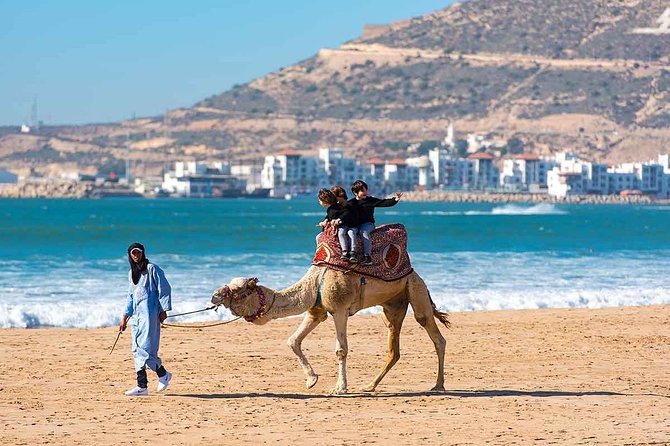 Agadir Private Transfer From Agadir City to Agadir Airport (Aga) - Child Seat Requirements