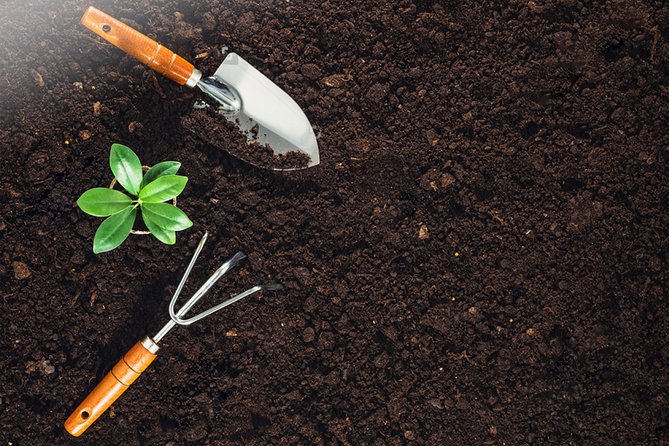 Agro Tour of Sri Lanka (5 Days) - What To Expect