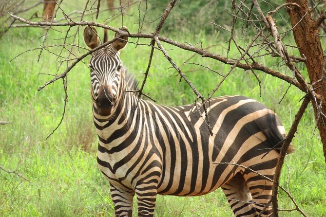 Akagera National Park From Kigali - Directions From Kigali to Akagera