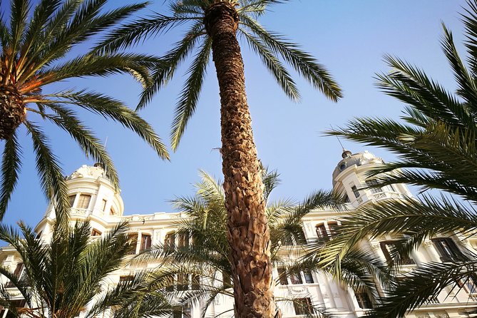Alicante Virtual Guided Tour - Meeting Point and End Point