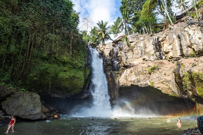 All-Inclusive 1-Day Ubud Tours - Tour Overview