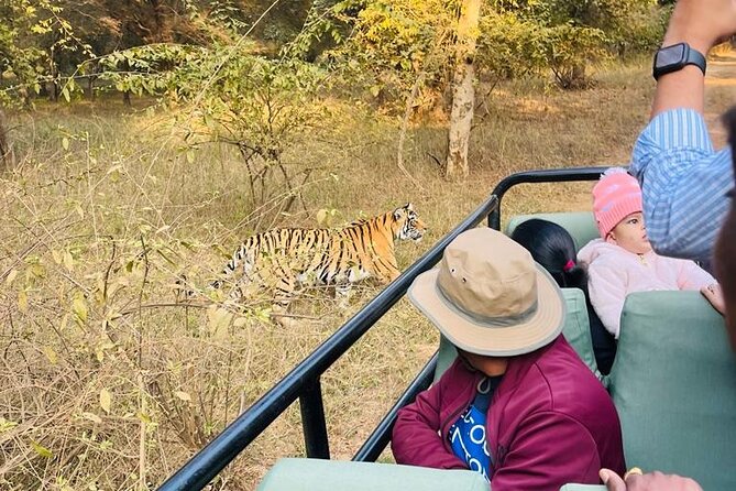 All Inclusive Private Tiger Safari Day Trip Jaipur to Ranthambore - The Sum Up