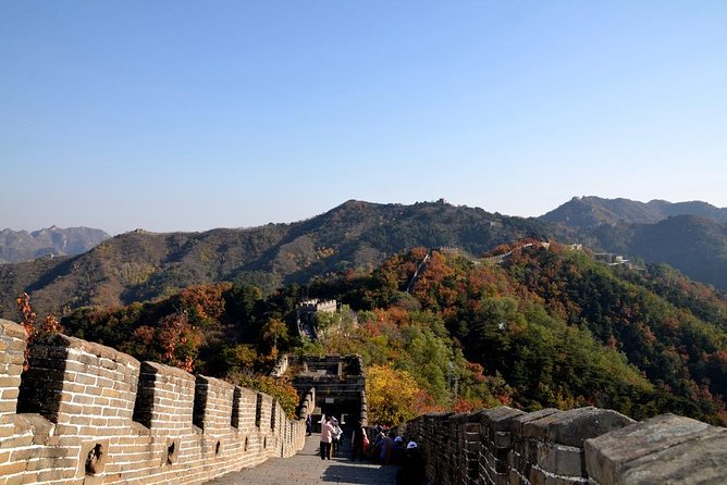 All-Inclusive Tianjin Shore Excursion:Muainyu Great Wall and Forbidden City - Additional Information