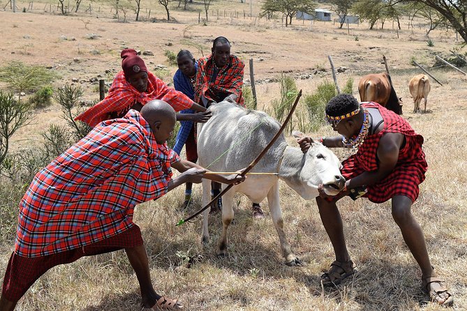 All Things Maasai (2 Days) - Cancellation Policy