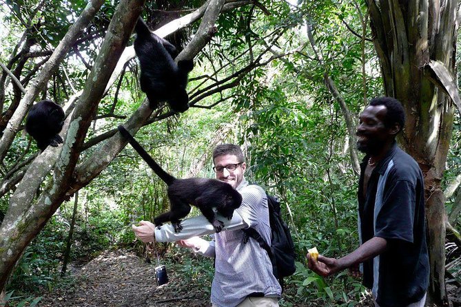 Altun Ha & Baboon Sanctuary From Caye Caulker - Frequently Asked Questions