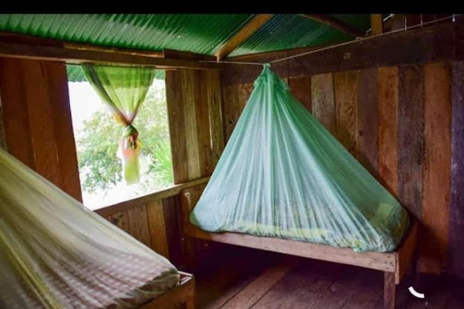 Amazon Rainforest Ecuador | Puyo, Pastaza | Indicuris | One Day - Tour Inclusions and Price