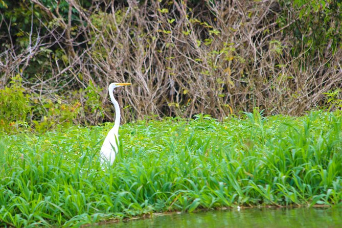 Amazon River Cruise Trip Explore 5D/4N - Health and Accessibility