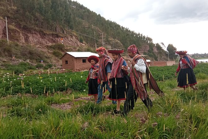 Andean Marriage in the Sacred Valley - Pricing and Booking
