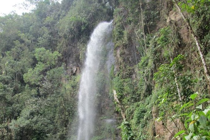 Angel Falls Trek and Sanctuary of the Guácharos - Meeting and Start Points