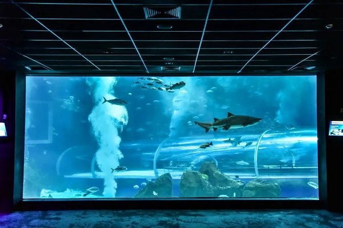 Aquarium With Olympic Boulevard Rio De Janeiro - Pricing Information