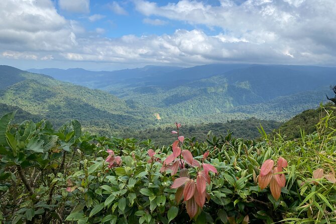 Arenal Volcano 1 Day Tour - Inclusions and Amenities