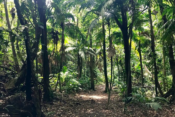 Arenal Volcano and Baldi Hot Springs Full-day Private Tour in San Jose - Accessibility Information