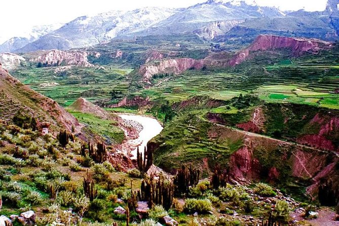 Arequipa, Colca Canyon and Titicaca 4 Days and 3 Nights - The Sum Up