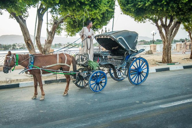 Aswan City Tour on Horse Carriage - Price