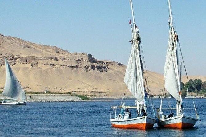 Aswan Tour to High Dam, The Obelisk and Philae Temple by Boat - Accessibility Information