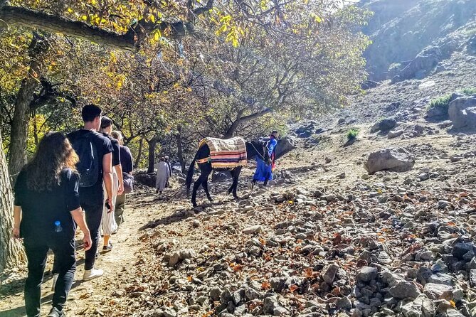 Atlas Mountains and Mule Ride Day Tour From Marrakech - Meeting Point Options