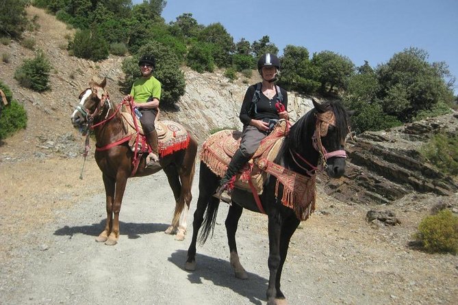 Atlas Mountains Horseback Ride & 3 Valleys Tour Day Trip From Marrakech - Explore Three Valleys
