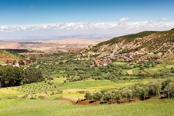 Atlas Mountains Tour, Lunch, Waterfalls, Weekly Berber Market - Weekly Market Schedule