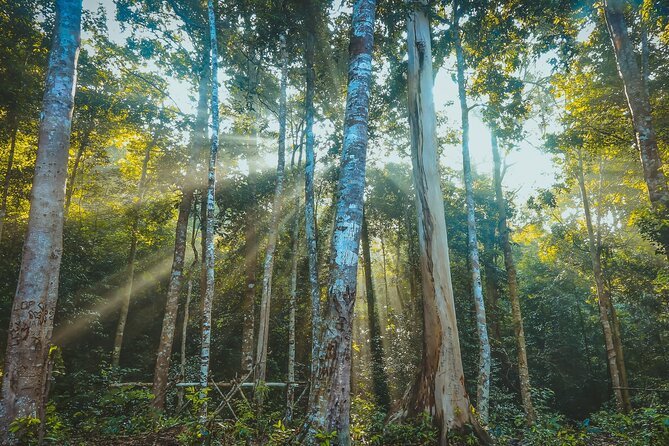 Aural Mountain Trek: Cambodia Tallest Peak Challenge - Cancellation Policy and Refunds