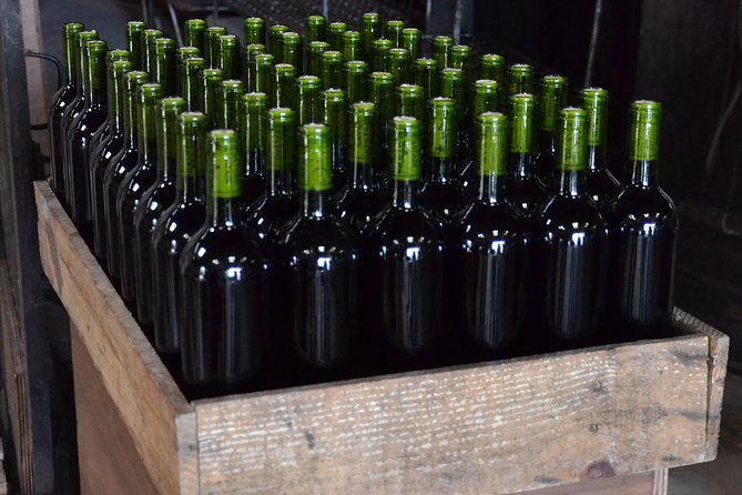 Authentic Château Chatain Wine Tasting & Vines Leaves Hunting - Additional Information