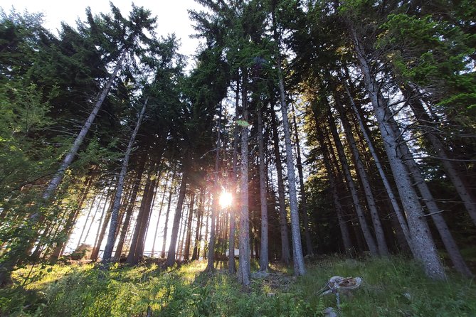 Authentic Traditions and Contemporary Science in the Rhodope Mountains - Frequently Asked Questions