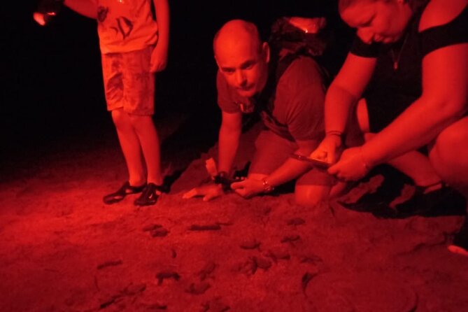 Baby Turtle Release, Night Walk, From Dreams Las Mareas, El Jobo - What to Expect on the Walk