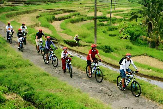 Bali Cycling for 2 Hours With Pick up Service and Lunch - The Sum Up
