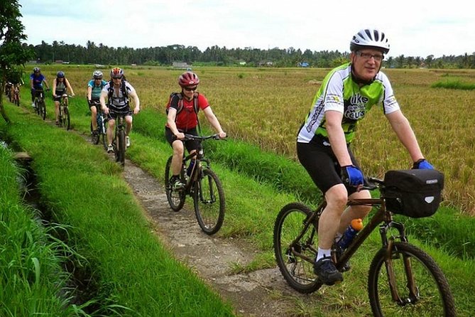 Bali Kintamani Cycling Tour With Transport Service - Frequently Asked Questions