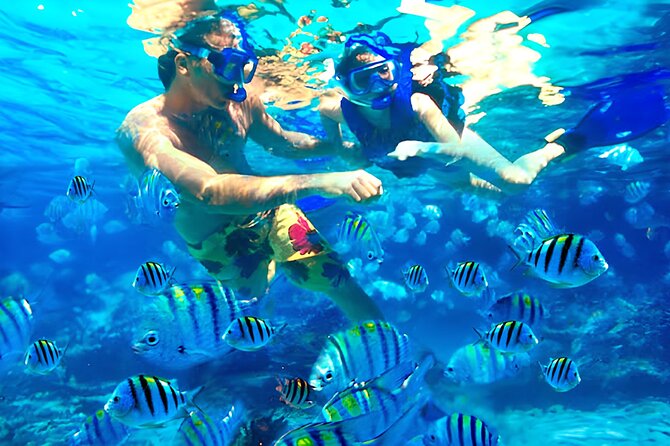 Bali Snorkeling at Blue Lagoon & Tanjung Jepun Beach: All-Inclusive - Important Reminders