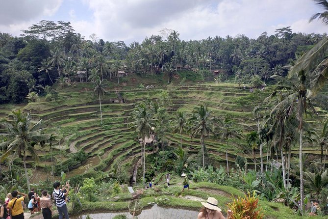 Bali Swing and Ubud Tours - Booking and Cancellation Policy