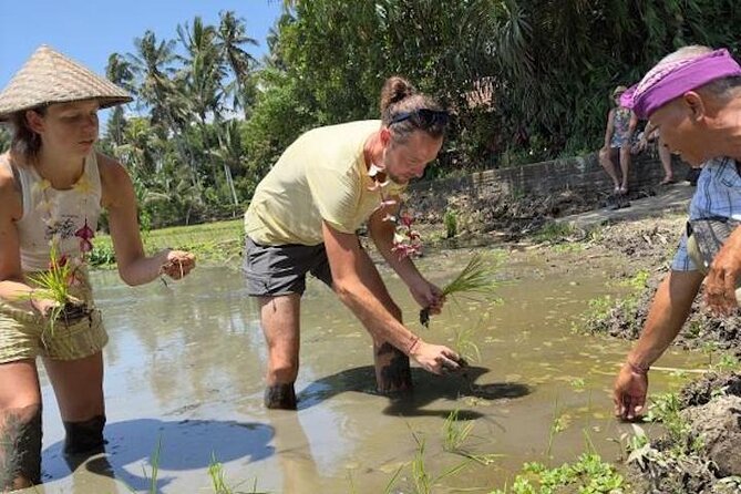 Bali Taman Anyar Village and Culinary Tour - Additional Information